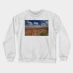 850_7072 Crewneck Sweatshirt